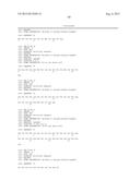 ANTI-TRANSGLUTAMINASE 2 ANTIBODIES diagram and image