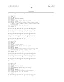 ANTI-TRANSGLUTAMINASE 2 ANTIBODIES diagram and image