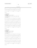 ANTI-TRANSGLUTAMINASE 2 ANTIBODIES diagram and image