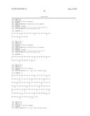 ANTI-TRANSGLUTAMINASE 2 ANTIBODIES diagram and image