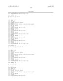 ANTI-TRANSGLUTAMINASE 2 ANTIBODIES diagram and image