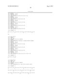 ANTI-TRANSGLUTAMINASE 2 ANTIBODIES diagram and image