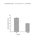 ANTI-TRANSGLUTAMINASE 2 ANTIBODIES diagram and image