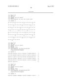 ANTI-TRANSGLUTAMINASE 2 ANTIBODIES diagram and image