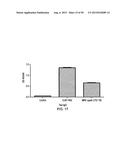 ANTI-TRANSGLUTAMINASE 2 ANTIBODIES diagram and image