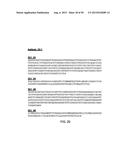 ANTI-TRANSGLUTAMINASE 2 ANTIBODIES diagram and image