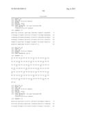 ANTI-TRANSGLUTAMINASE 2 ANTIBODIES diagram and image