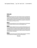 ANTI-TRANSGLUTAMINASE 2 ANTIBODIES diagram and image