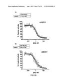 ANTI-TRANSGLUTAMINASE 2 ANTIBODIES diagram and image