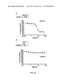 ANTI-TRANSGLUTAMINASE 2 ANTIBODIES diagram and image