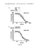 ANTI-TRANSGLUTAMINASE 2 ANTIBODIES diagram and image