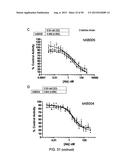 ANTI-TRANSGLUTAMINASE 2 ANTIBODIES diagram and image