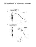 ANTI-TRANSGLUTAMINASE 2 ANTIBODIES diagram and image