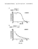 ANTI-TRANSGLUTAMINASE 2 ANTIBODIES diagram and image