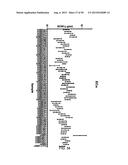 ANTI-TRANSGLUTAMINASE 2 ANTIBODIES diagram and image