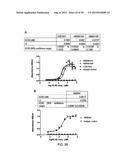 ANTI-TRANSGLUTAMINASE 2 ANTIBODIES diagram and image