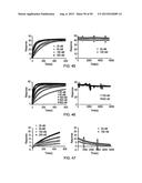 ANTI-TRANSGLUTAMINASE 2 ANTIBODIES diagram and image