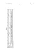 ANTI-TRANSGLUTAMINASE 2 ANTIBODIES diagram and image