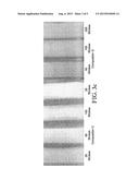 AQUEOUS CLEANING COMPOSITIONS INCLUDING AN ALKYL 3-HYDROXYBUTYRATE diagram and image