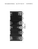 AQUEOUS CLEANING COMPOSITIONS INCLUDING AN ALKYL 3-HYDROXYBUTYRATE diagram and image