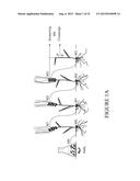 BARLEY FOR PRODUCTION OF FLAVOR-STABLE BEVERAGE diagram and image