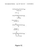 BARLEY FOR PRODUCTION OF FLAVOR-STABLE BEVERAGE diagram and image