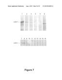 BARLEY FOR PRODUCTION OF FLAVOR-STABLE BEVERAGE diagram and image