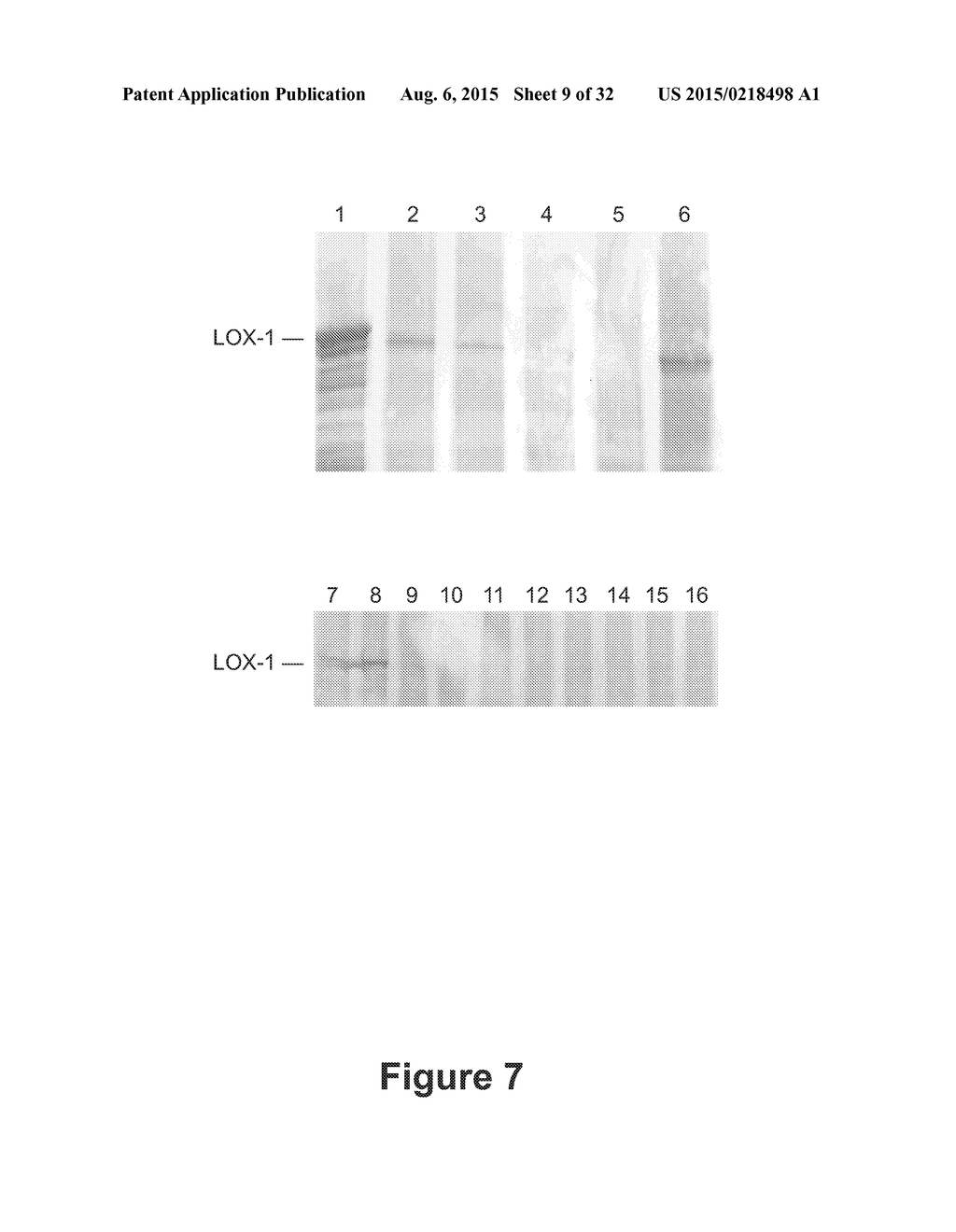 BARLEY FOR PRODUCTION OF FLAVOR-STABLE BEVERAGE - diagram, schematic, and image 10