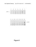 BARLEY FOR PRODUCTION OF FLAVOR-STABLE BEVERAGE diagram and image