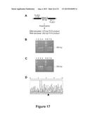 BARLEY FOR PRODUCTION OF FLAVOR-STABLE BEVERAGE diagram and image