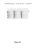 BARLEY FOR PRODUCTION OF FLAVOR-STABLE BEVERAGE diagram and image