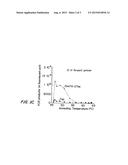 NUCLEIC ACID MODIFYING ENZYMES diagram and image