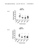 MICRORNA COMPOUNDS AND METHODS FOR MODULATING MIR-21 ACTIVITY diagram and image