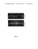 LINEAR VECTORS, HOST CELLS AND CLONING METHODS diagram and image