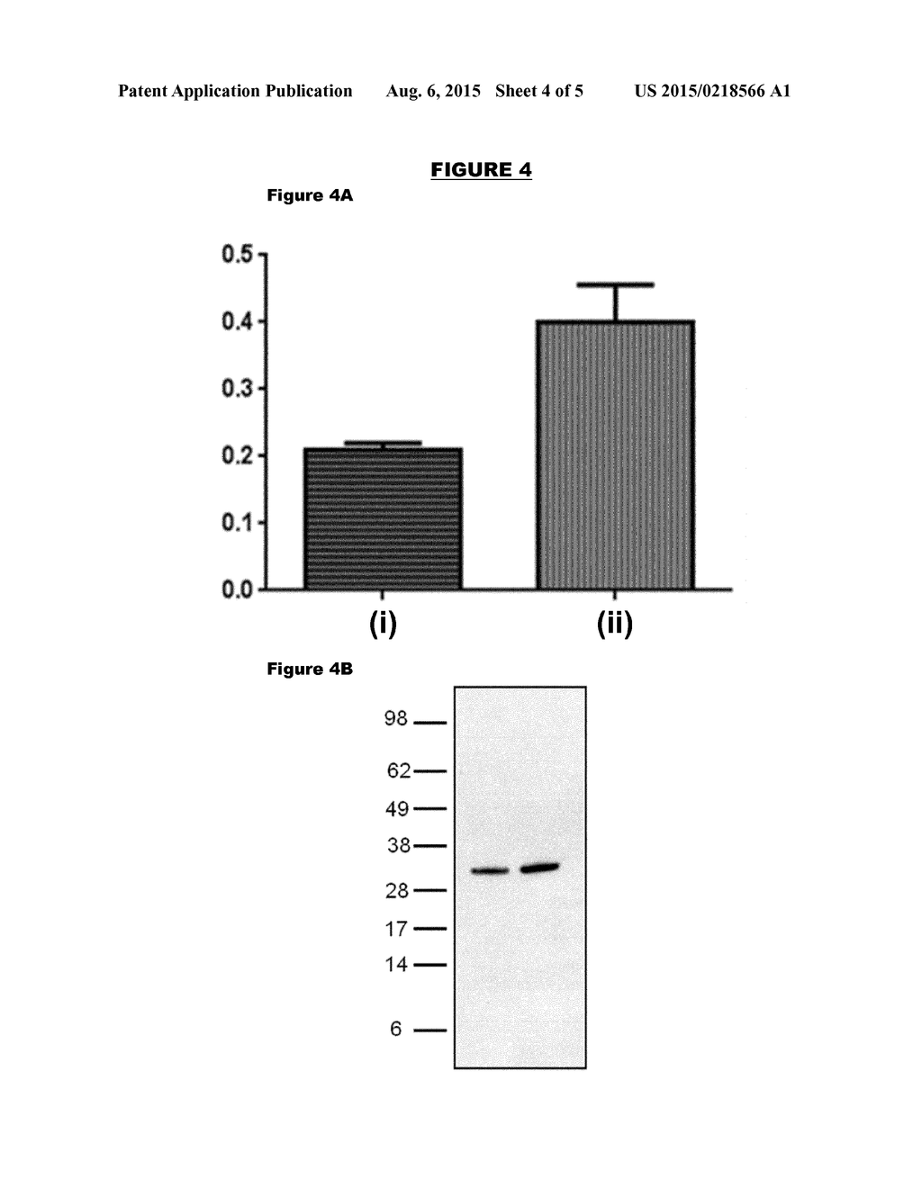 PROMOTERS FOR INCREASED PROTEIN EXPRESSION IN MENINGOCOCCUS - diagram, schematic, and image 05