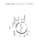 NOVEL REGULATORY SYSTEM FOR CONTROLLING GENE EXPRESSION IN PLANTS diagram and image