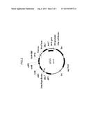 NOVEL REGULATORY SYSTEM FOR CONTROLLING GENE EXPRESSION IN PLANTS diagram and image