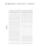 SUCROSE TRANSPORTER GENES FOR INCREASING PLANT SEED LIPIDS diagram and image