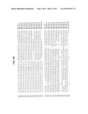 SUCROSE TRANSPORTER GENES FOR INCREASING PLANT SEED LIPIDS diagram and image