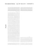 SUCROSE TRANSPORTER GENES FOR INCREASING PLANT SEED LIPIDS diagram and image