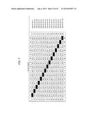 SUCROSE TRANSPORTER GENES FOR INCREASING PLANT SEED LIPIDS diagram and image