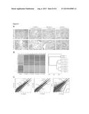 GENERATION OF INDUCED PLURIPOTENT STEM (iPS) CELLS diagram and image