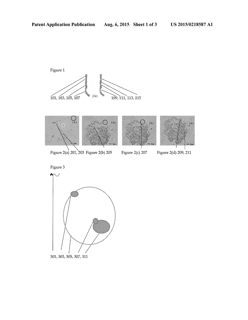 Genetic Material Manipulation and Cell Line Creation Techniques and     Products Thereof - diagram, schematic, and image 02