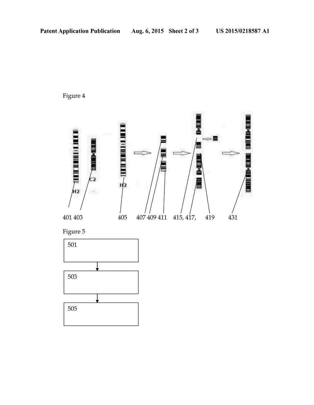 Genetic Material Manipulation and Cell Line Creation Techniques and     Products Thereof - diagram, schematic, and image 03