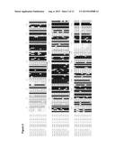 CYTOCHROME P450 AND USE THEREOF FOR THE ENZYMATIC OXIDATION OF TERPENES diagram and image