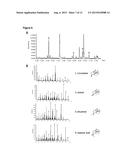 CYTOCHROME P450 AND USE THEREOF FOR THE ENZYMATIC OXIDATION OF TERPENES diagram and image