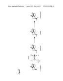 CYTOCHROME P450 AND USE THEREOF FOR THE ENZYMATIC OXIDATION OF TERPENES diagram and image