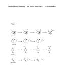 CYTOCHROME P450 AND USE THEREOF FOR THE ENZYMATIC OXIDATION OF TERPENES diagram and image