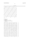 CYTOCHROME P450 AND USE THEREOF FOR THE ENZYMATIC OXIDATION OF TERPENES diagram and image