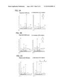 RECOMBINANT CELL, AND METHOD FOR PRODUCING BETA-PHELLANDRENE diagram and image